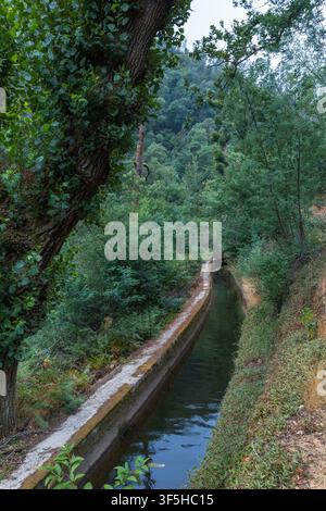 A narrow water canal flows alongside a dirt hiking trail surrounded by dense green forest in the mountains of central Portugal. Stock Photo
