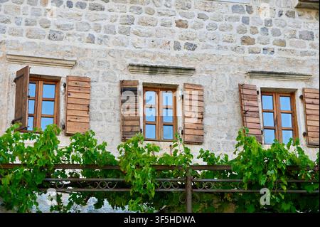 A charming historic stone building facade featuring three wooden framed windows with open shutters, set above a green canopy of vine leaves on a sunny day. Stock Photo