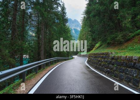 Asphalt wet mountain road passing through pine forest in summer Stock Photo