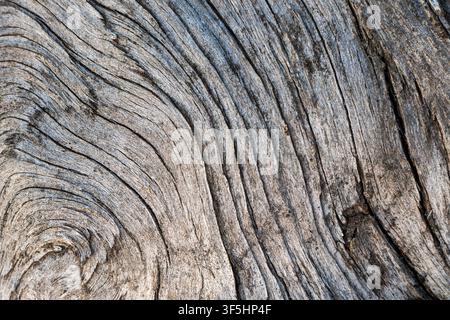 This shows a close-up view of a wooden surface with various lines and patterns. The wood appears old and well-worn, revealing its rings and grooves. Stock Photo