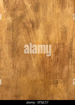 Closeup of natural brown wood grain with warm golden tones, fine linear texture, subtle knots, and organic variation. Ideal as a rustic background for Stock Photo