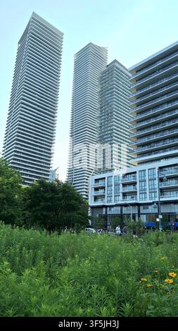 Modern residential high-rise apartment buildings stand behind a lush green park in an urban setting during daylight. Stock Photo