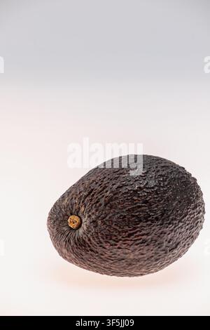 Minimal vertical studio still life of a single large ripe avocado centered on a light grey background. The focused single-object composition and copy Stock Photo