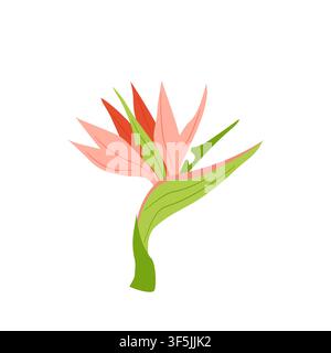 Vector illustration of a strelitzia flower in pink and green colors. Exotic tropical floral icon for cosmetic packaging, logo, and summer decor. Stock Vector