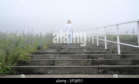 A person with blonde hair is walking up a wide set of concrete stairs, heading into a thick fog. The individual is viewed from behind, wearing a loose Stock Photo