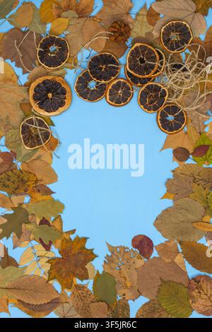 Autumn holidays frame concept. Autumn leaves frame and dry citrus fruits slices of oranges and mandarins on blue paper background. Stock Photo