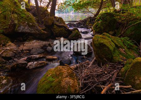 A small woodland stream flows over mossy boulders and through a natural wood stick formation at a lake outlet in the forests of Quebec, Canada Stock Photo