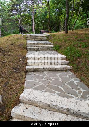 A vertical photograph of a stone staircase winding up a small grassy hill in a park or wooded area. The steps are constructed from light-colored, irre Stock Photo