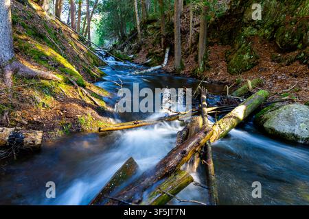Serene woodland creek rushing past mossy banks and a log jam in spring Stock Photo