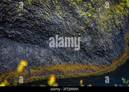 Close-up of dark volcanic rock texture covered with vibrant yellow-green moss and lichen at the waterline. Moody, natural Icelandic coastal Stock Photo