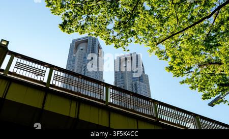 Low angle view of the Tokyo Metropolitan Government Building twin towers in Shinjuku, framed by fresh green tree branches and an overpass against a cl Stock Photo