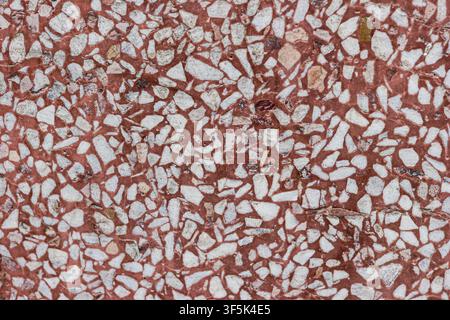 Red terrazzo floor surface with irregular white marble chips embedded in cement, showing a decorative architectural material texture. Stock Photo