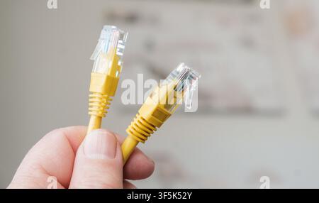 Hand holding two yellow ethernet network cables with RJ45 connectors. Stock Photo