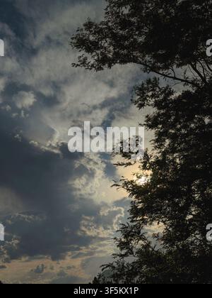 Sunset on a stormy dark night with a large tree backlit in sunlight shows many clouds covering the sky. The tree is large at the side with green leave. Stock Photo