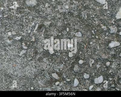Close-up of rough asphalt concrete embedded with small white quartz pebbles and dark mossy weathering marks. Stock Photo