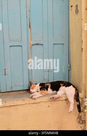 A calico cat peacefully resting on a doorstep in front of a traditional blue wooden door in the Old Town of Rethymno, Crete, Greece. Stock Photo