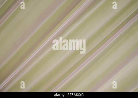 Pleated fabric ceiling with diagonal stripes in olive and beige. Ideal for event or wedding backgrounds. Stock Photo