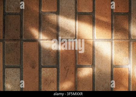 Top-down view of textured terracotta floor tiles. Natural sunlight and leaf shadows overlay warm orange and brown rectangular ceramics, creating an or Stock Photo