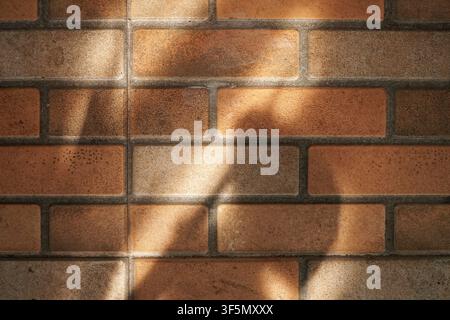 Warm sunlight casts leafy shadows across a textured brown brick-patterned tile floor, creating a natural architectural background. Stock Photo