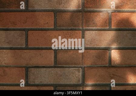 Rustic ceramic tile wall imitating brickwork with natural sunlight and leaf shadows for architectural backgrounds. Stock Photo