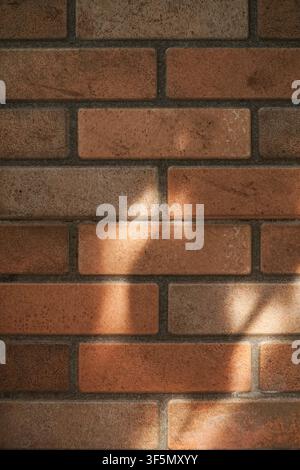 Vertical shot of textured terracotta brick wall. Sunlight creates natural shadows across the surface. Ideal urban or architectural background for mini Stock Photo