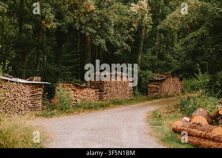 Wide landscape shot of neatly stacked chopped firewood piles covered with protective roofs along a gravel road cutting through a green dense forest, f Stock Photo