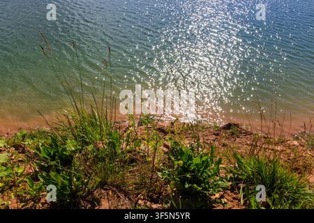 Sunlight glitters on the rippling surface of a peaceful lake, framed by wild meadow grasses and dry earth along the rustic shore under a bright summer Stock Photo