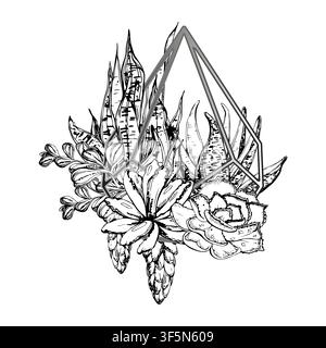 Echeveria, money plant succulent clusters, aloe and sansevieria spikes, draping sedum set in polygonal pyramid prism holder. Hand drawn ink vector art Stock Vector