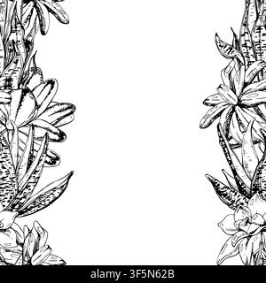Echeveria succulent, aloe vera and upright snake plant foliage in seamless botanical strip. Detailed vector border illustration. Eco startup homepages Stock Vector