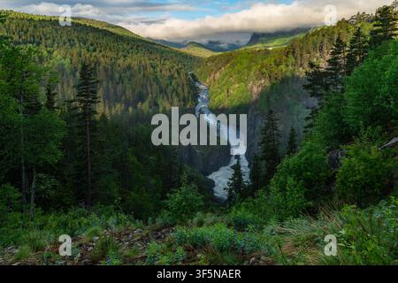 Wild mountain river flowing through dense forest Stock Photo