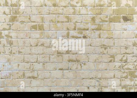 Brickwork backdrop with aged pale yellow tiles and cracked stucco fragments. Weathered architectural surface with repetitive rectangular patterns and Stock Photo