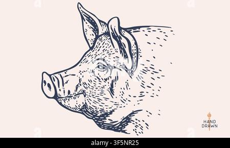 Pork, pig, hog, meat sketch, hand drawn Stock Vector