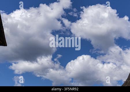 A horizontal shot looking up at several large, rounded white cumulus clouds covering a rich azure blue sky background during daylight hours. Stock Photo