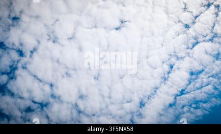 Beautiful altocumulus clouds float across vast blue sky at noon. Light cloudscape brightens fresh atmosphere during calm weather. Scenic summer sky pr Stock Photo