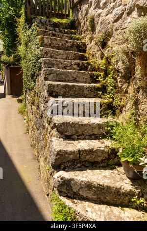 Old Stone Stairs with Moss and Greenery Leading Up in Historic Village of Hallstatt in Austria mountain Stock Photo