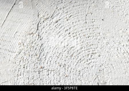 High-resolution close-up of a white plaster wall showing rough painted texture, tiny cracks and brush marks, ideal for backgrounds, design projects, a Stock Photo