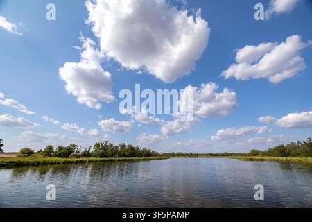 Panoramic a serene river landscape lush green trees along the banks under a vast blue sky filled with fluffy white clouds reflecting beautifully in th Stock Photo