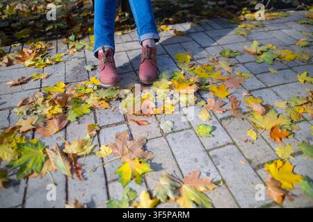 Person sitting on a bench above paving stones covered with colorful fallen autumn leaves wearing blue denim jeans and leather shoes while enjoying a s Stock Photo