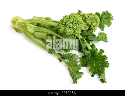 Fresh  rapini or broccoli rabe  isolated on white background Stock Photo