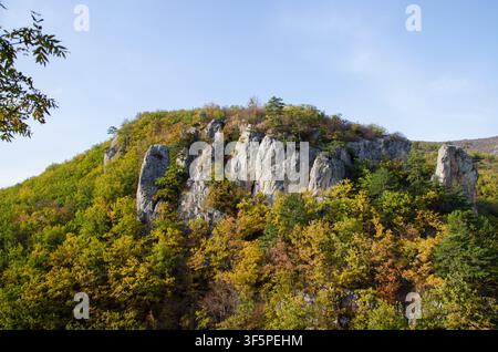 Steep limestone cliffs rising above a colorful autumn forest in a picturesque mountain canyon beneath a bright blue sky. Stock Photo