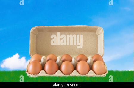 A row of fresh brown chicken eggs neatly arranged in an open cardboard carton box, placed on vibrant green grass under a clear blue sky with white clo Stock Photo