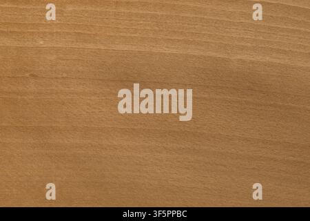 Steamed beech wood showing a natural texture Stock Photo