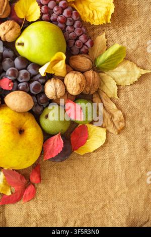 A top view of a rich autumn harvest featuring fresh organic pears, grapes, walnuts, and colorful fall leaves arranged in the corner of a rustic burlap Stock Photo
