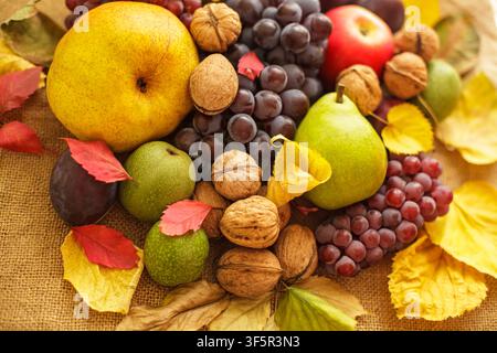 A close-up top view of a rich autumn harvest featuring fresh organic pears, grapes, walnuts, and colorful fall leaves arranged on a rustic burlap text Stock Photo