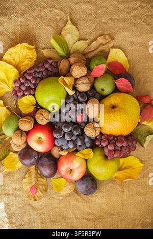 A top view of a rich autumn harvest featuring fresh organic pears, grapes, walnuts, apples, plums, and colorful fall leaves arranged centrally on a ru Stock Photo