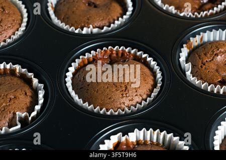Chocolate muffins bake in a dark tray with white paper liners. Brown batter rises with cracked tops and visible texture. Stock Photo