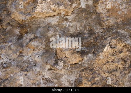 Weathered Limestone Rock Texture Background with Natural Stone Surface and Earth Tone Pattern. Stock Photo