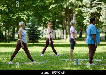 Diverse Group of Women Practicing Yoga in Park for Wellness Stock Photo
