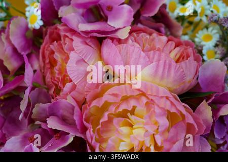 Bright flowers are arranged close together on a bright background. The colors include pink and yellow with some white blossoms. Stock Photo
