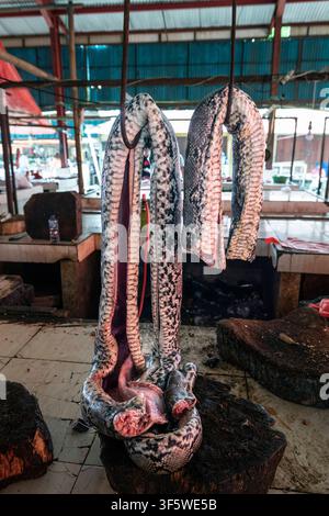 Python, (Pythonidae), zum Verkauf, Tomohon extrem Markt, Wochenmarkt ...